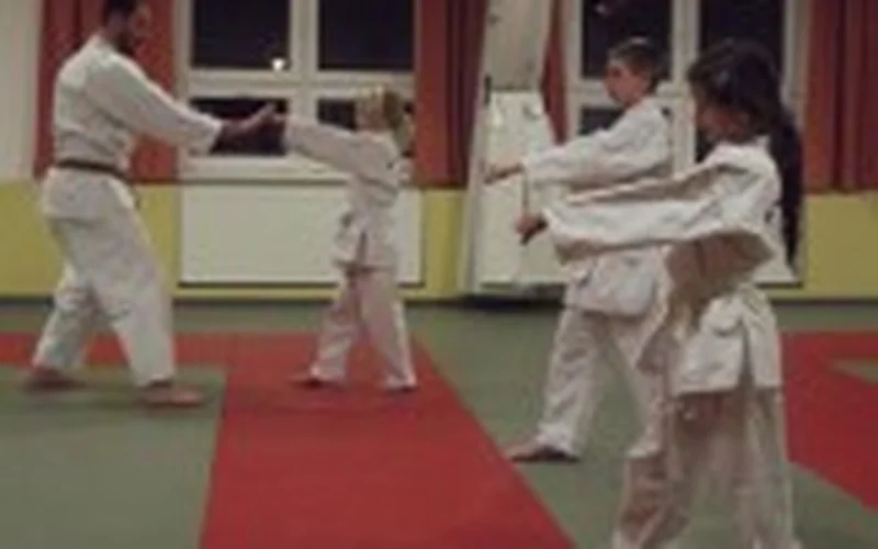Karate Go-Ju-Ryu